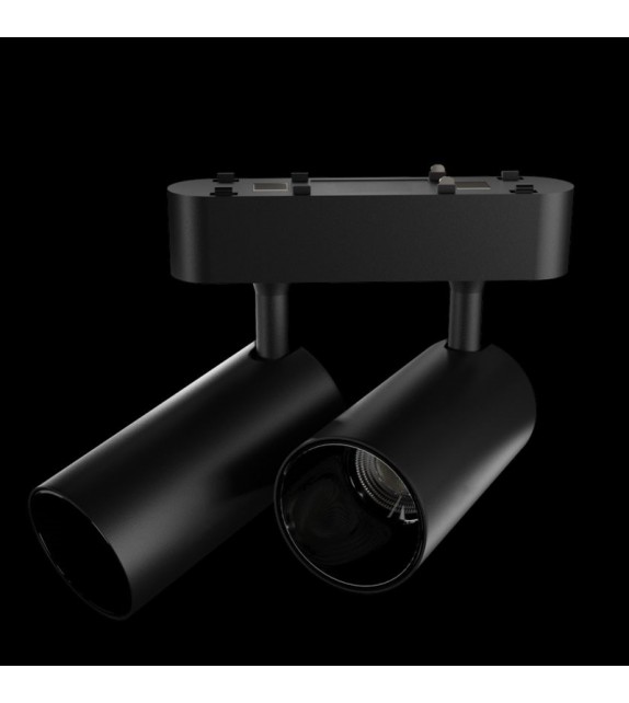 Double Track Light