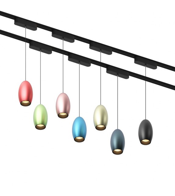 Colorful Spot Light